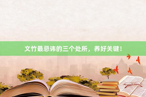 文竹最忌讳的三个处所，养好关键！