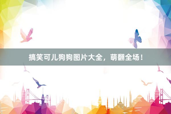 搞笑可儿狗狗图片大全，萌翻全场！